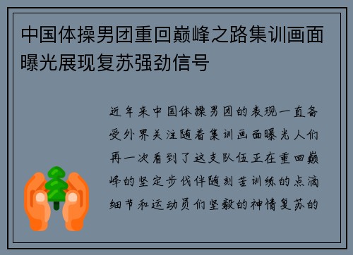 中国体操男团重回巅峰之路集训画面曝光展现复苏强劲信号